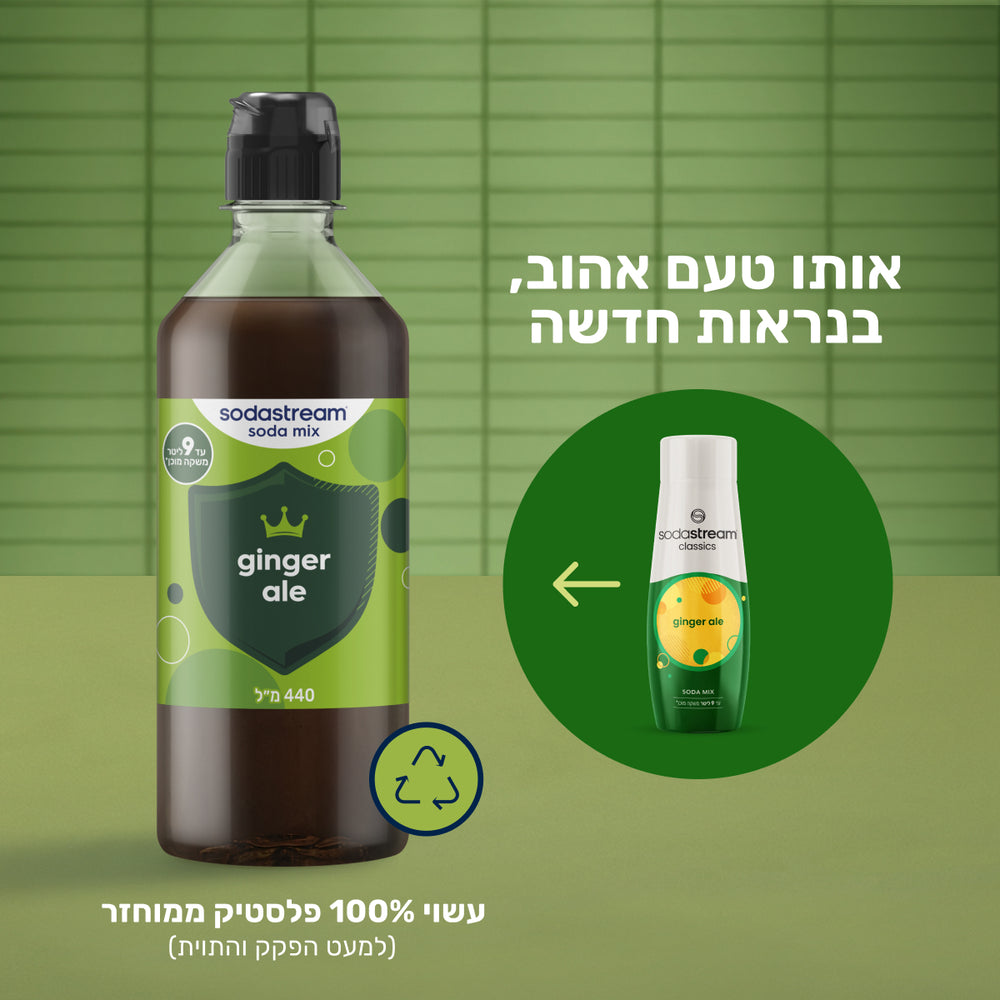 מארז ג'ינג'ר אייל משתלם 3+1 – 2