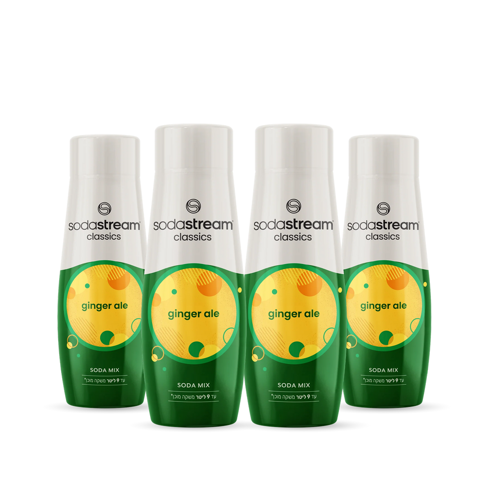 מארז ג'ינג'ר אייל רביעייה