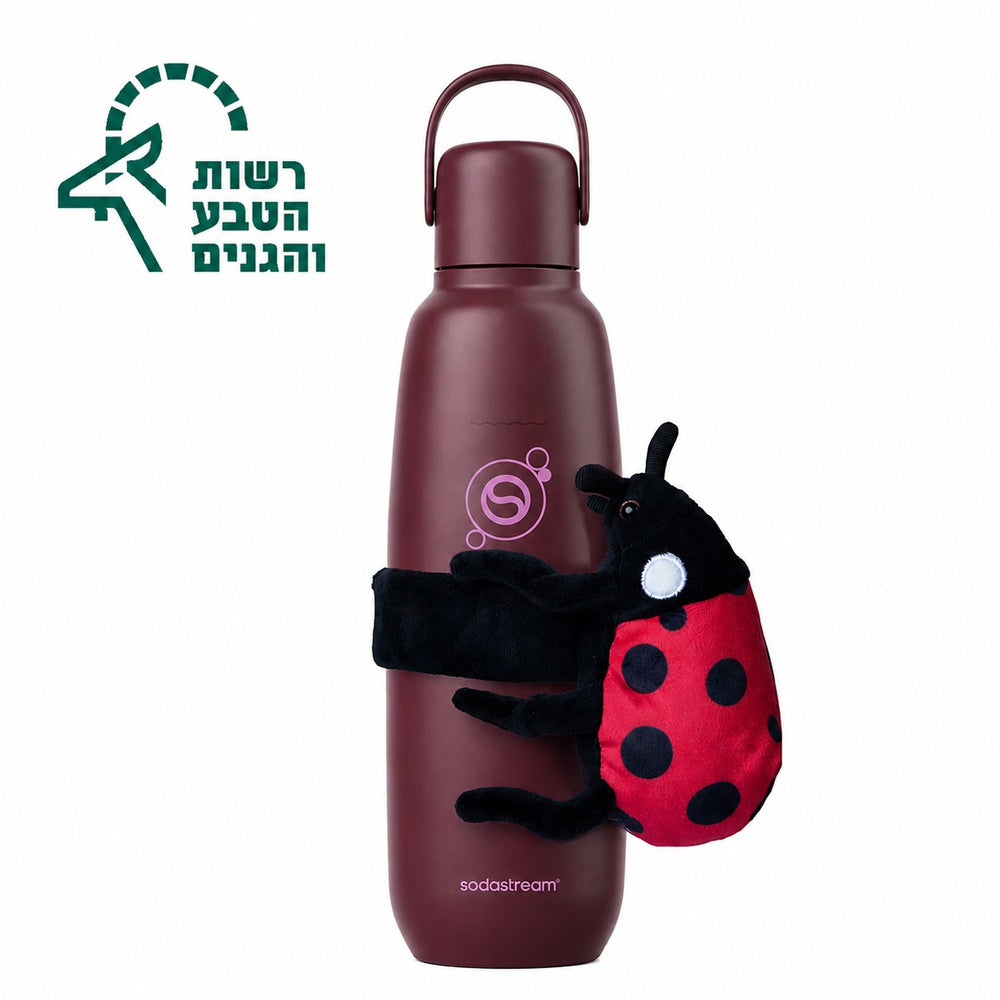 בקבוק הגזה תרמי FIZZ & GO® Stainless Steel בצבע בורדו בנפח 0.9 ליטר* - חיפושית